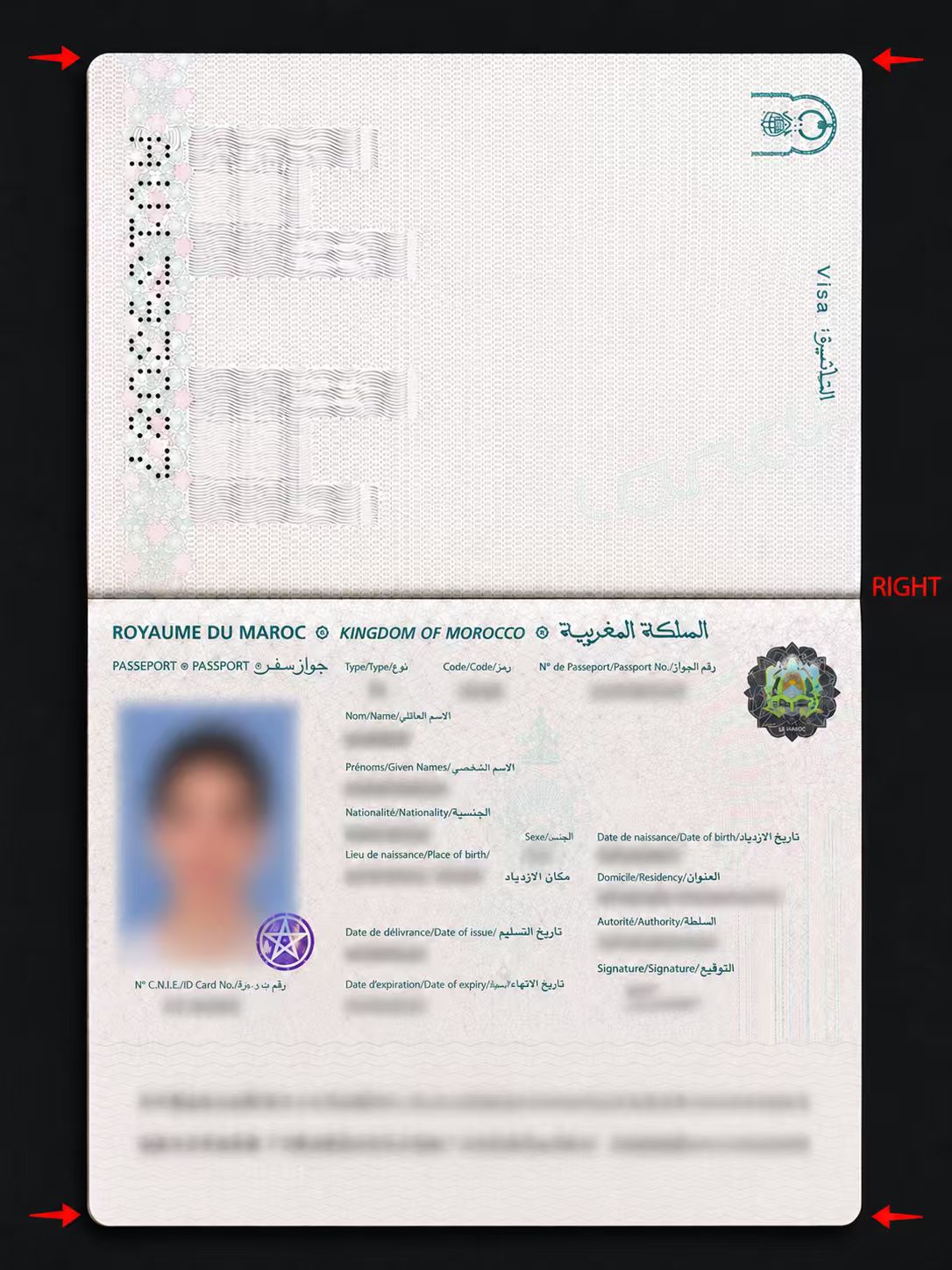 Example of a valid passport scan copy
